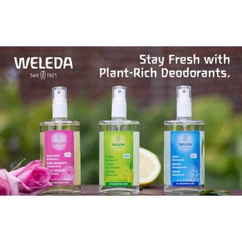 Salbei Deodorant - Šalviový deodorant